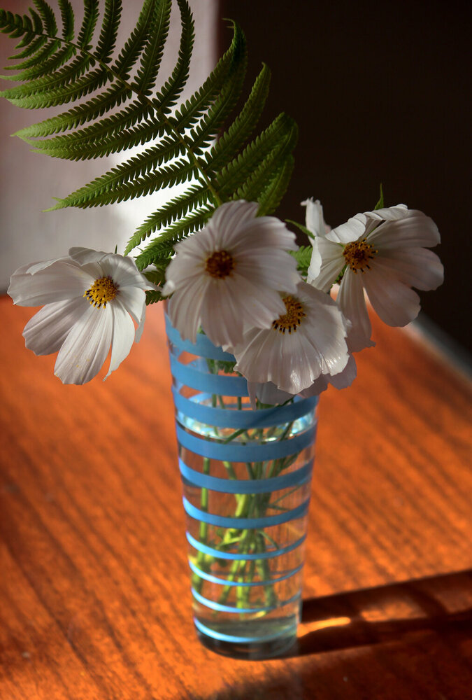 Photograph by Зоя Быкова