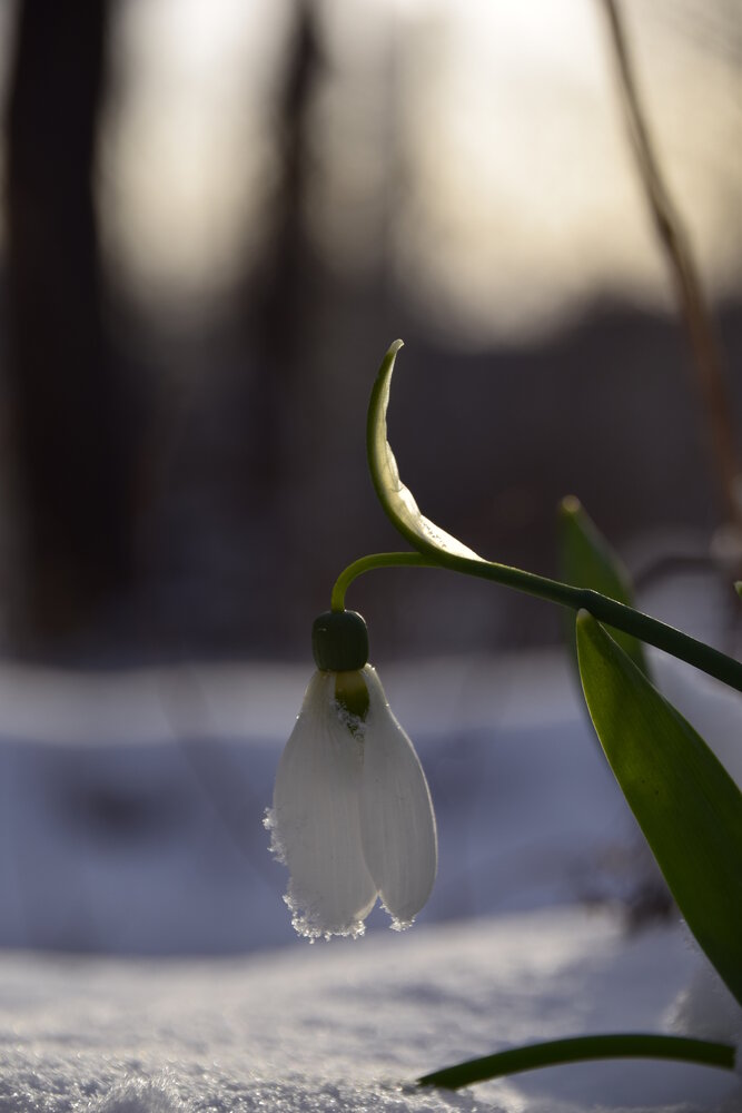 Photograph by Ольга Рыкова