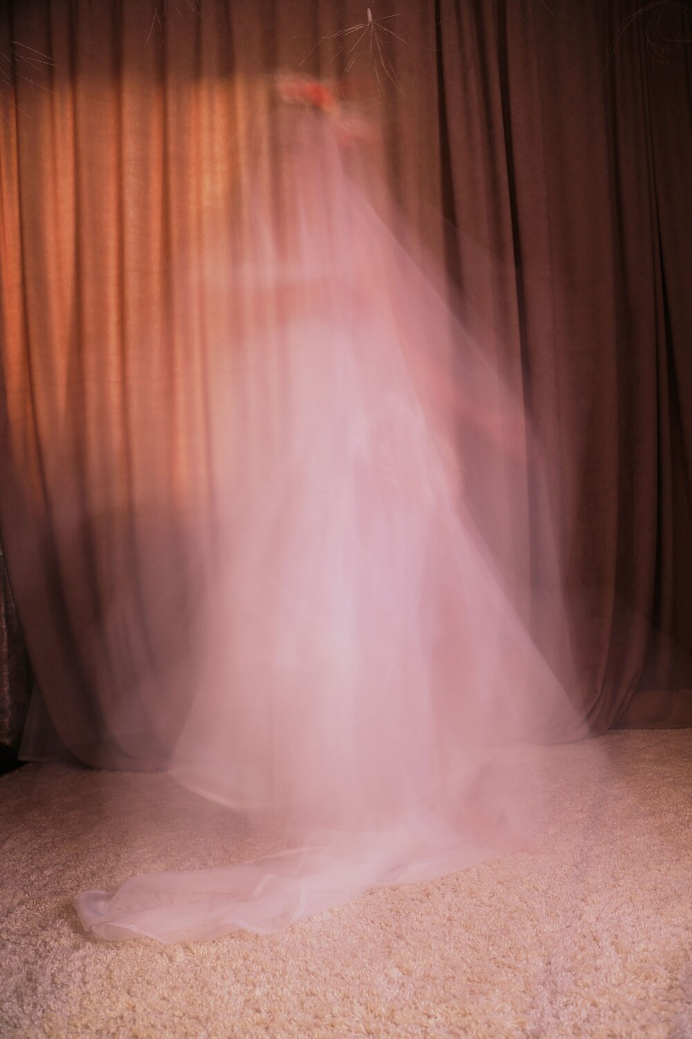 Photo #13884040