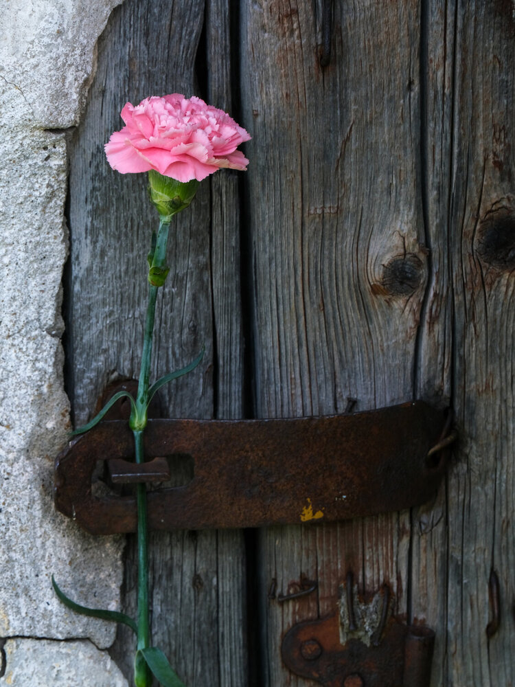 Photograph by Ирина Дегтярева