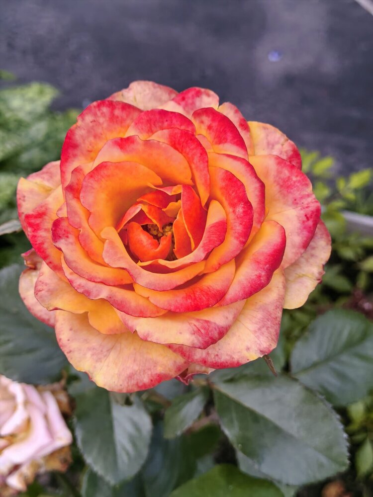 Photograph by Ирина Большакова