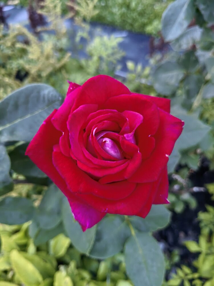 Photograph by Ирина Большакова