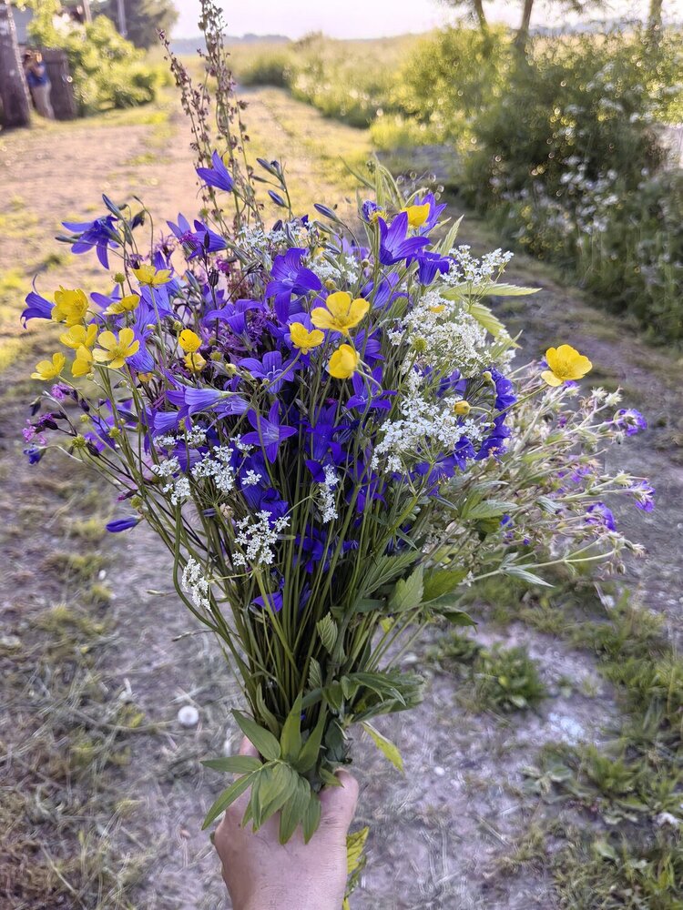 Photograph by Ирина Большакова