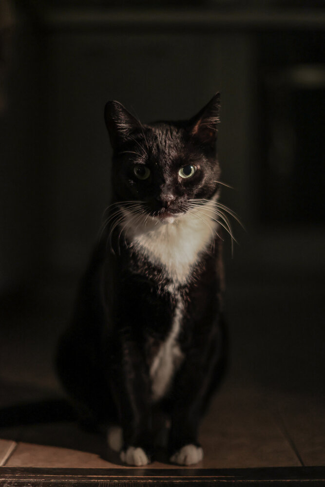 Photograph by Елена Матвеичева