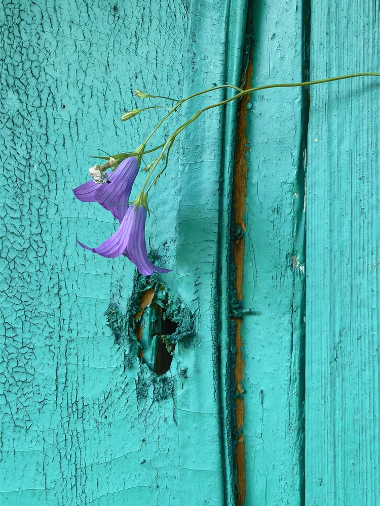 Photograph by Елена Охапкина