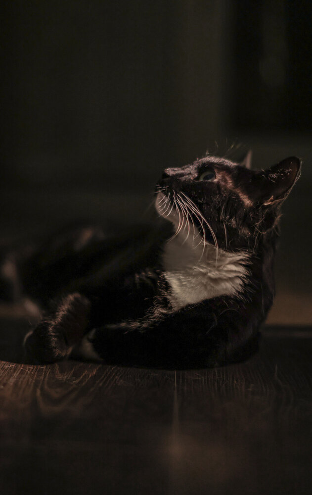 Photograph by Елена Матвеичева