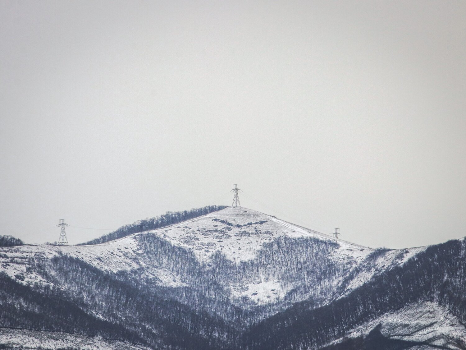 Photo #13884231