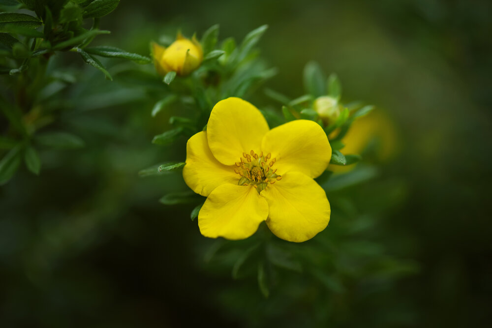 Photograph by Виктория Кос