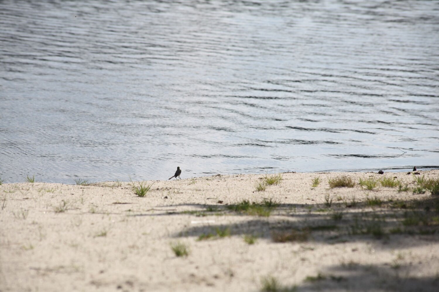 Photo #13884313