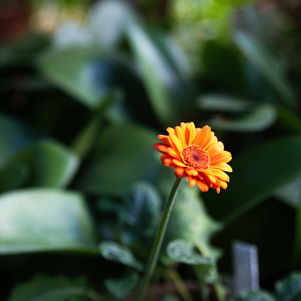 Photograph by Заглубоцкая Ольга