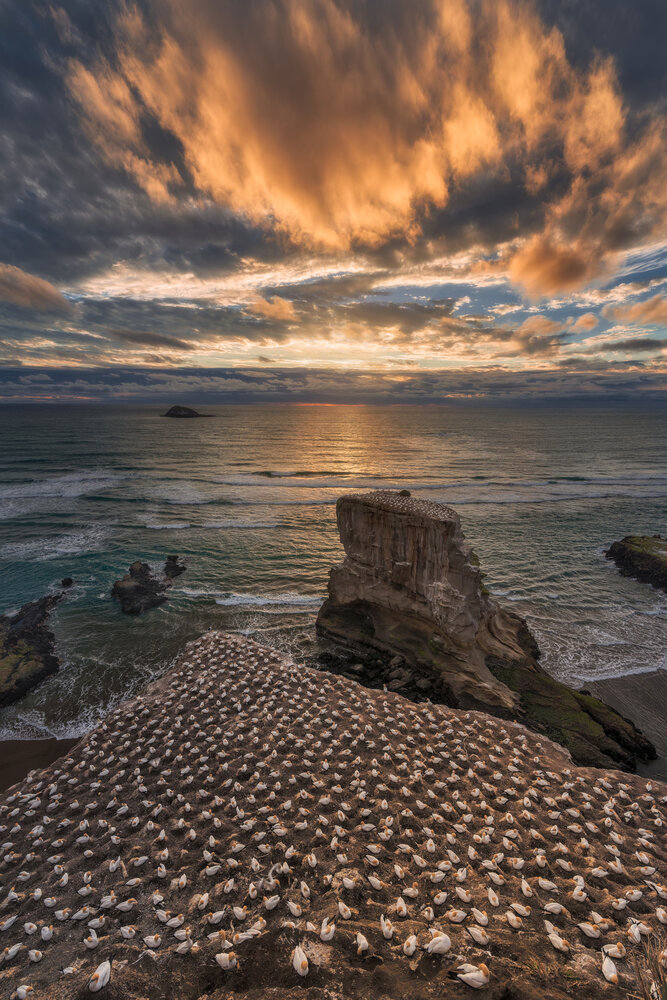 Photograph by WANG QIAN