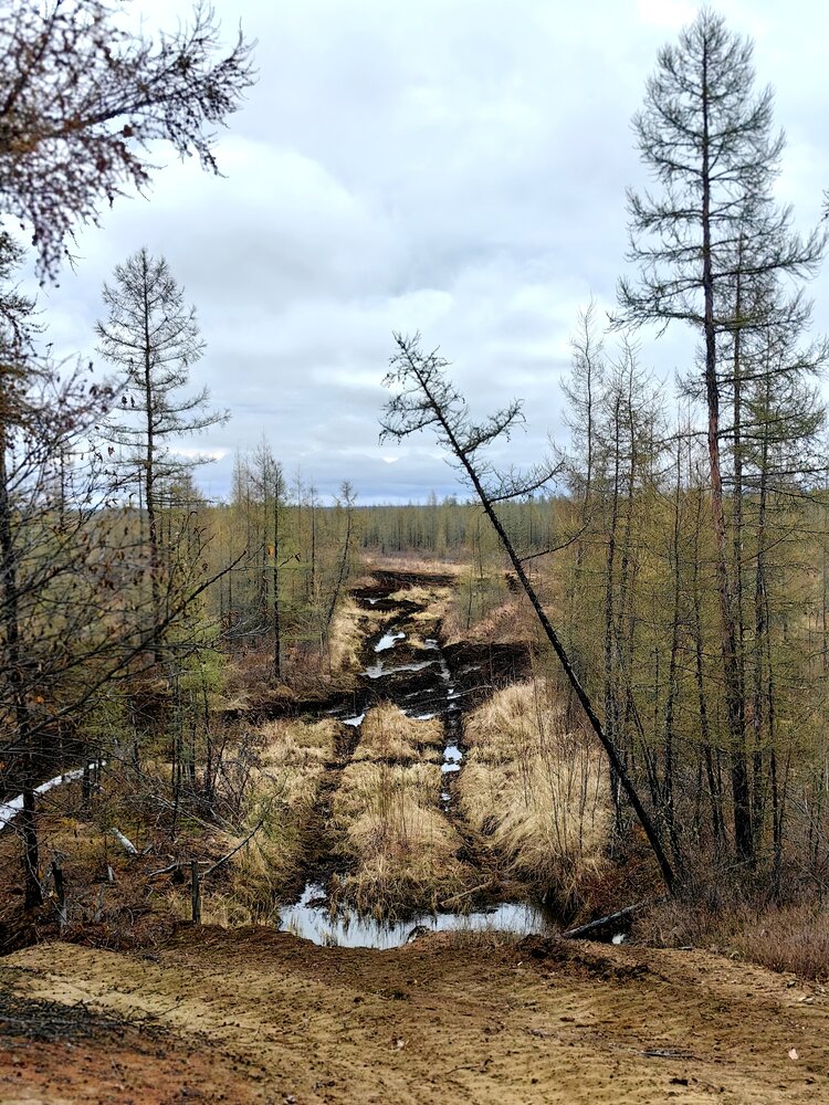 Photograph by OLGA MIKHNEVICH