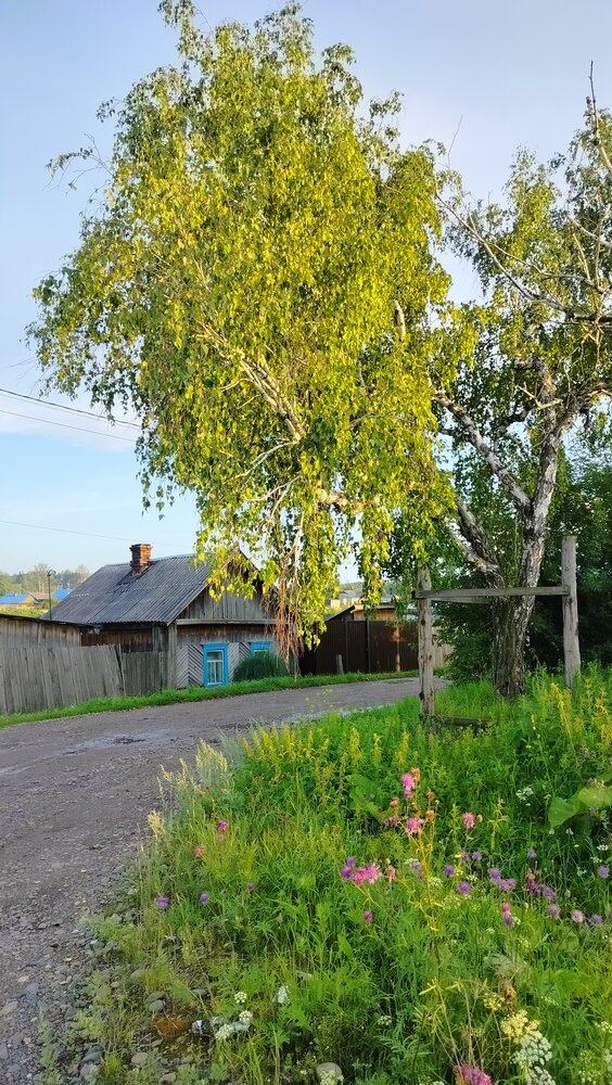 Photograph by Анастасия Горбачева