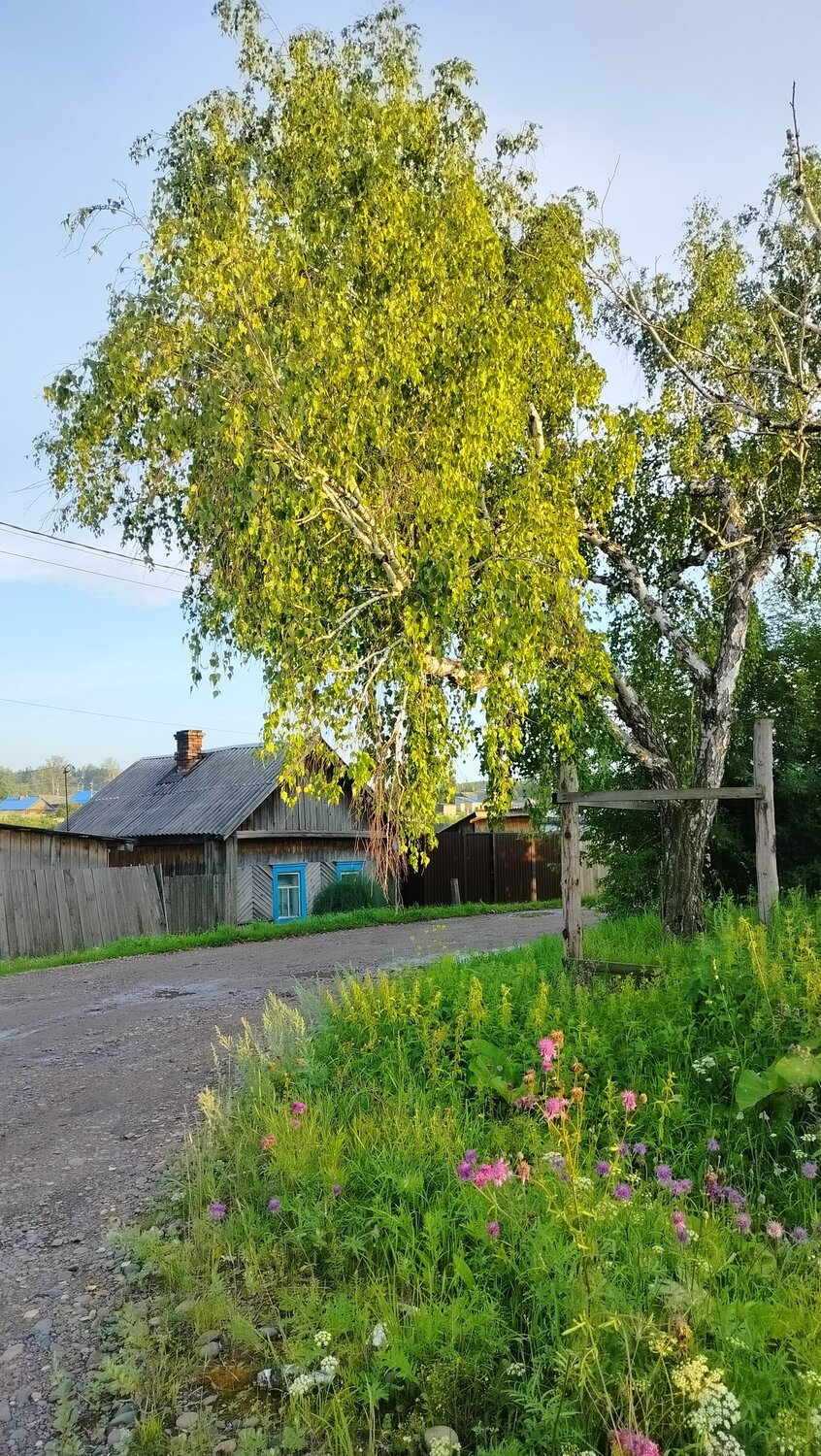 Photo #13884524