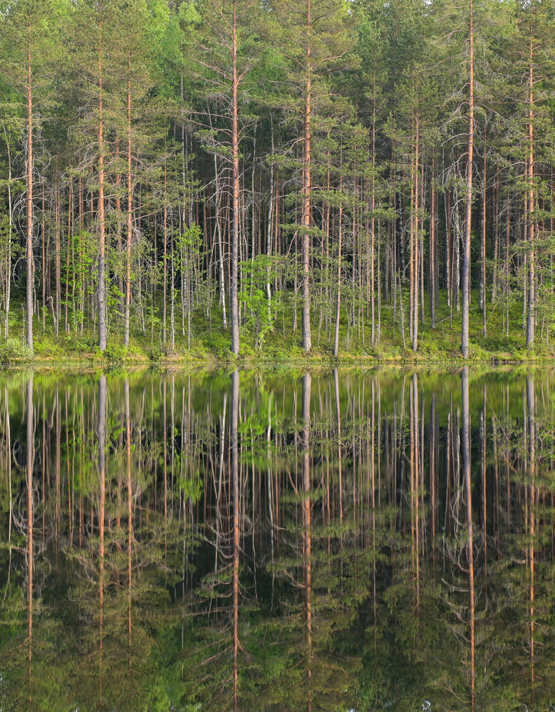 Photograph by Василий Богомолов
