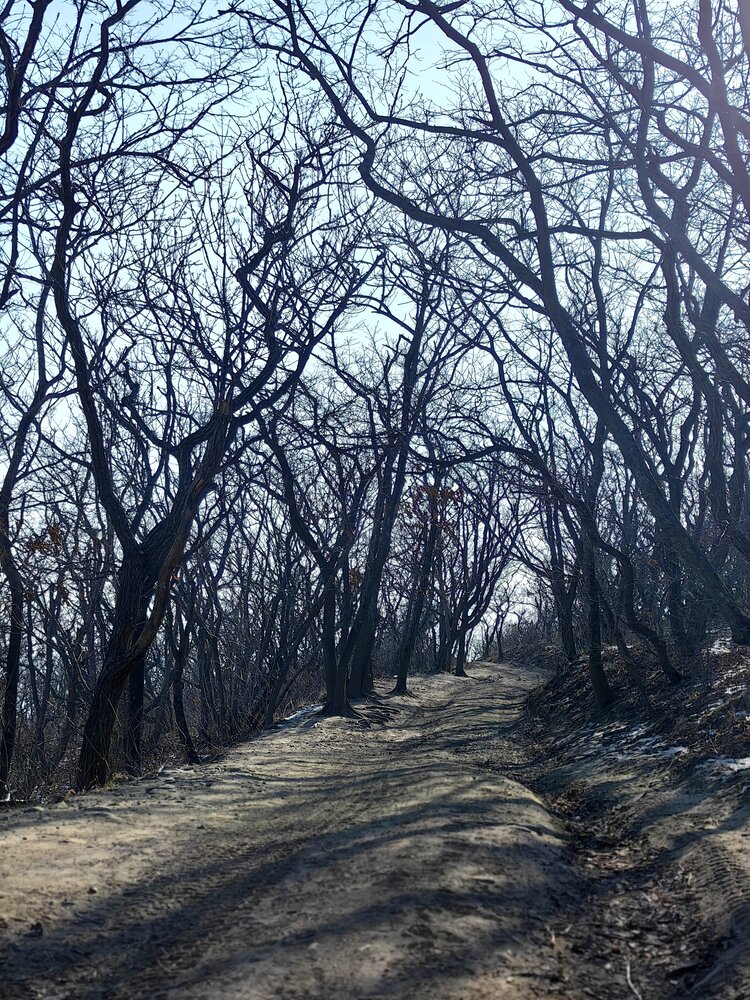 Photograph by OLGA MIKHNEVICH