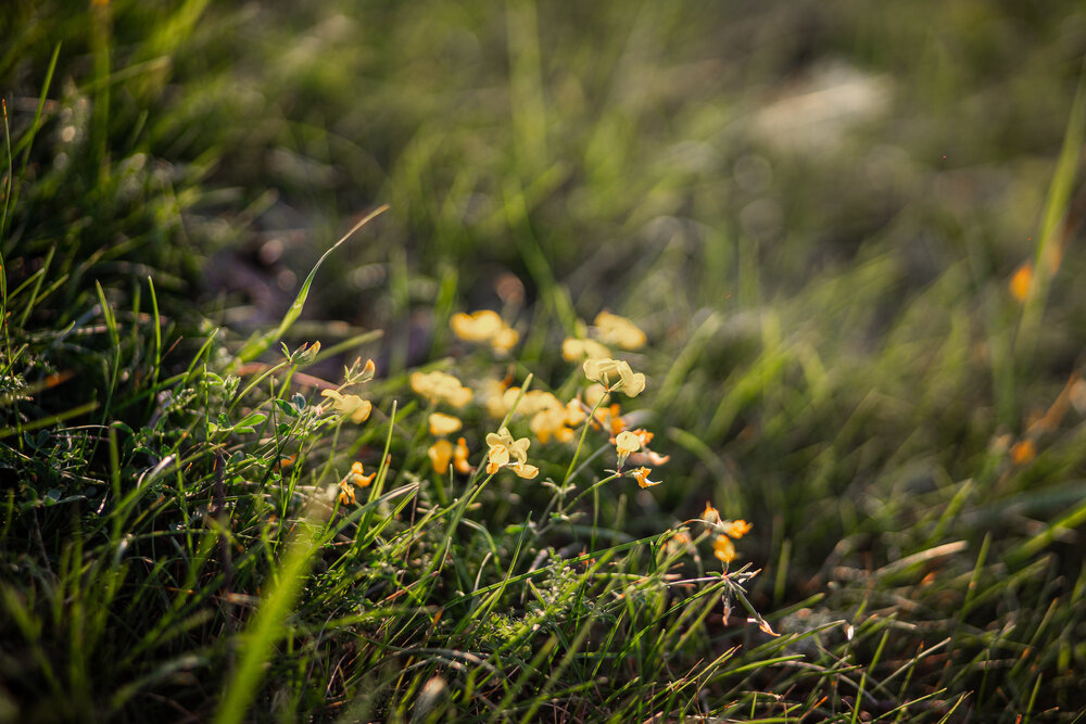 Photograph by Алёна Останкова