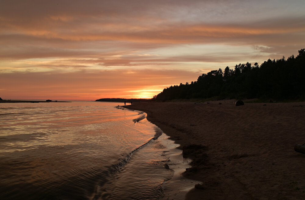 Photograph by Василий Богомолов