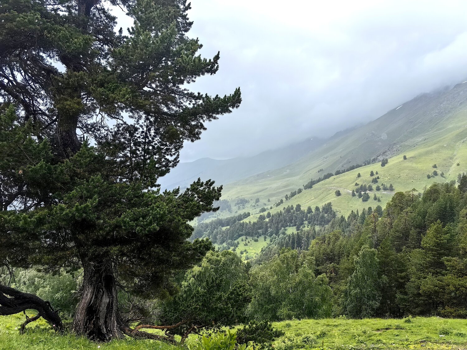 Photo #13884572