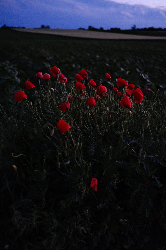 Photograph by Эдгар Черкасов