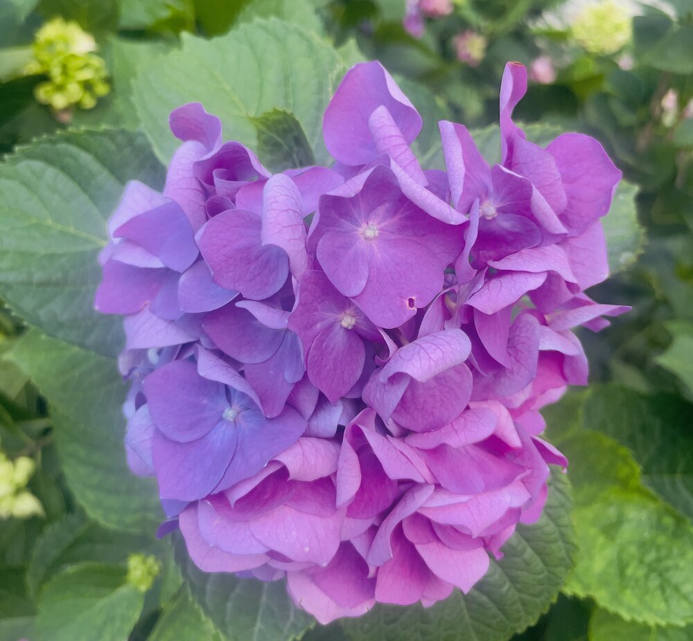 Photograph by Юлия Новичихина