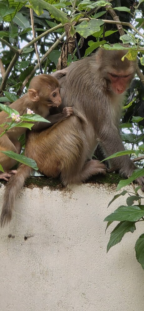 Photograph by Kaushik Mitra