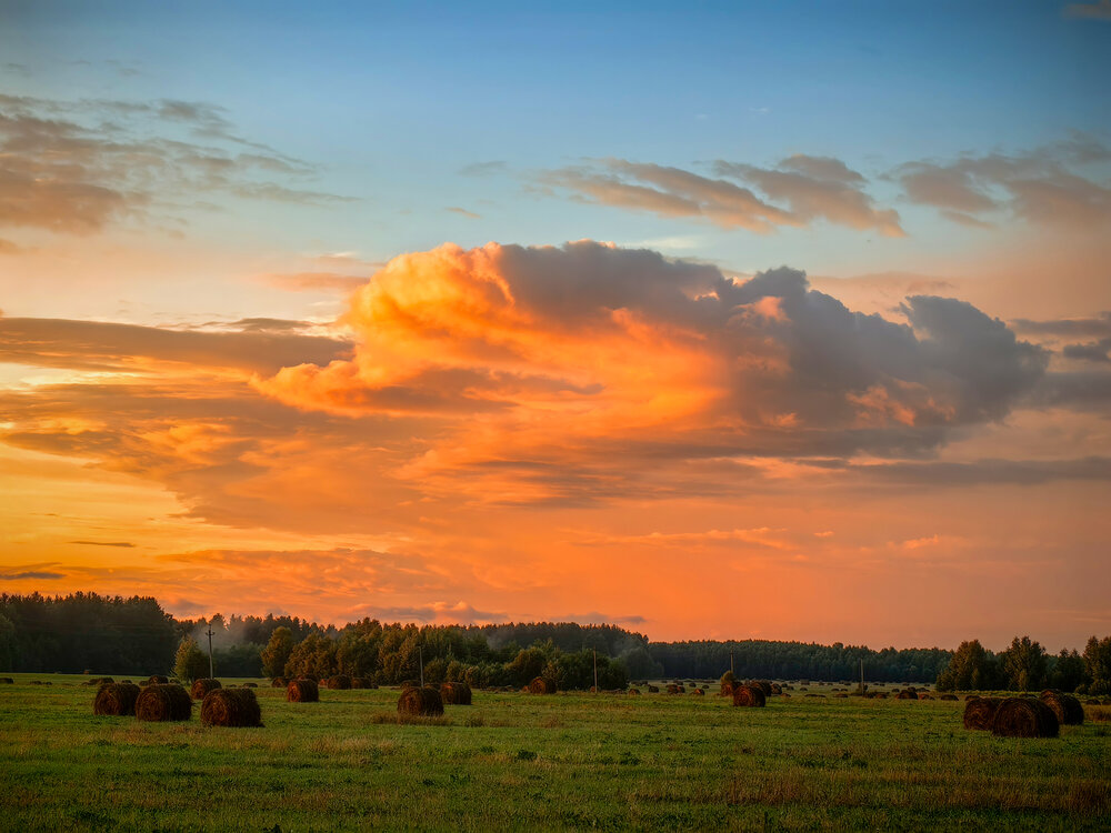 Photograph by Татьяна Емельянова