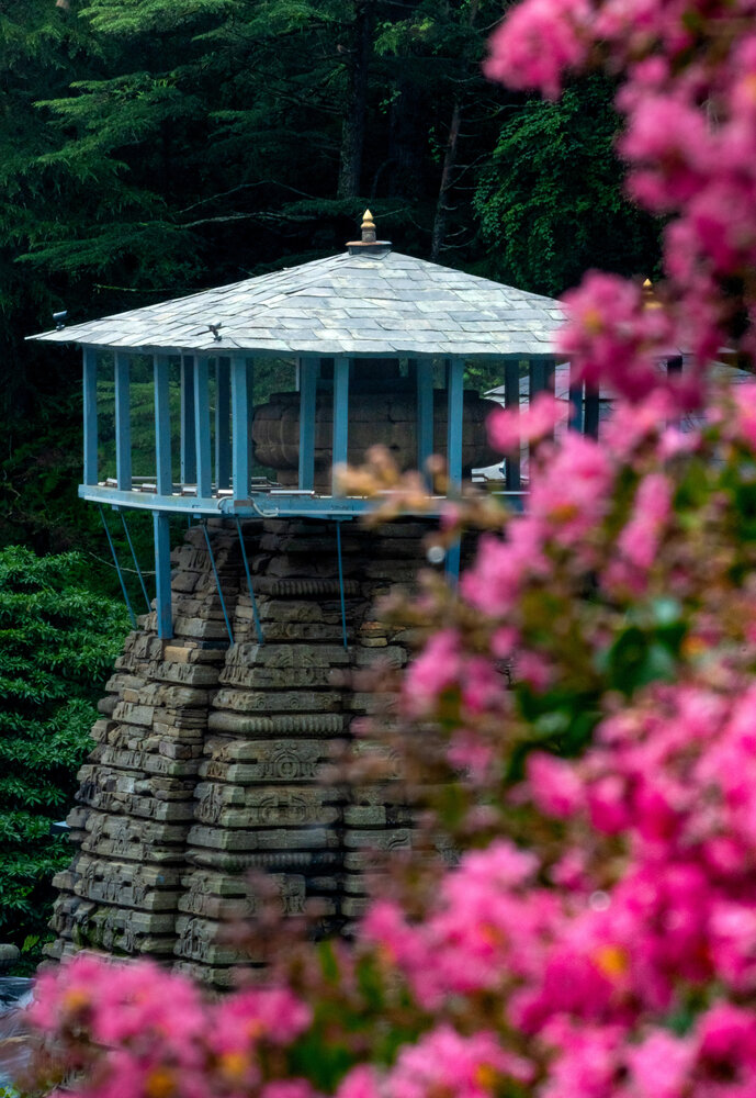 Blooming Through Time