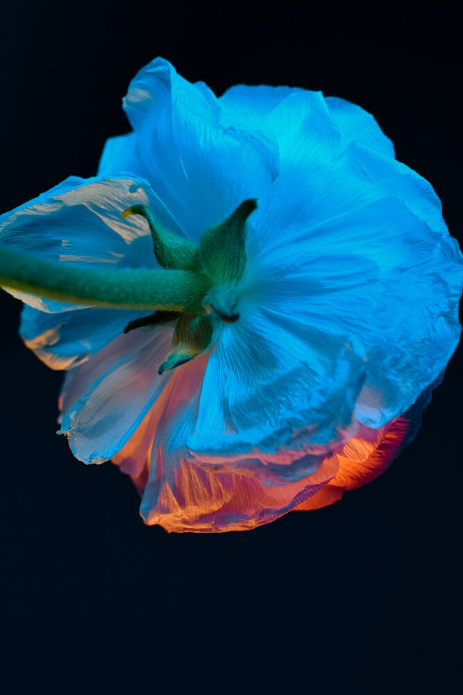 Photograph by Екатерина