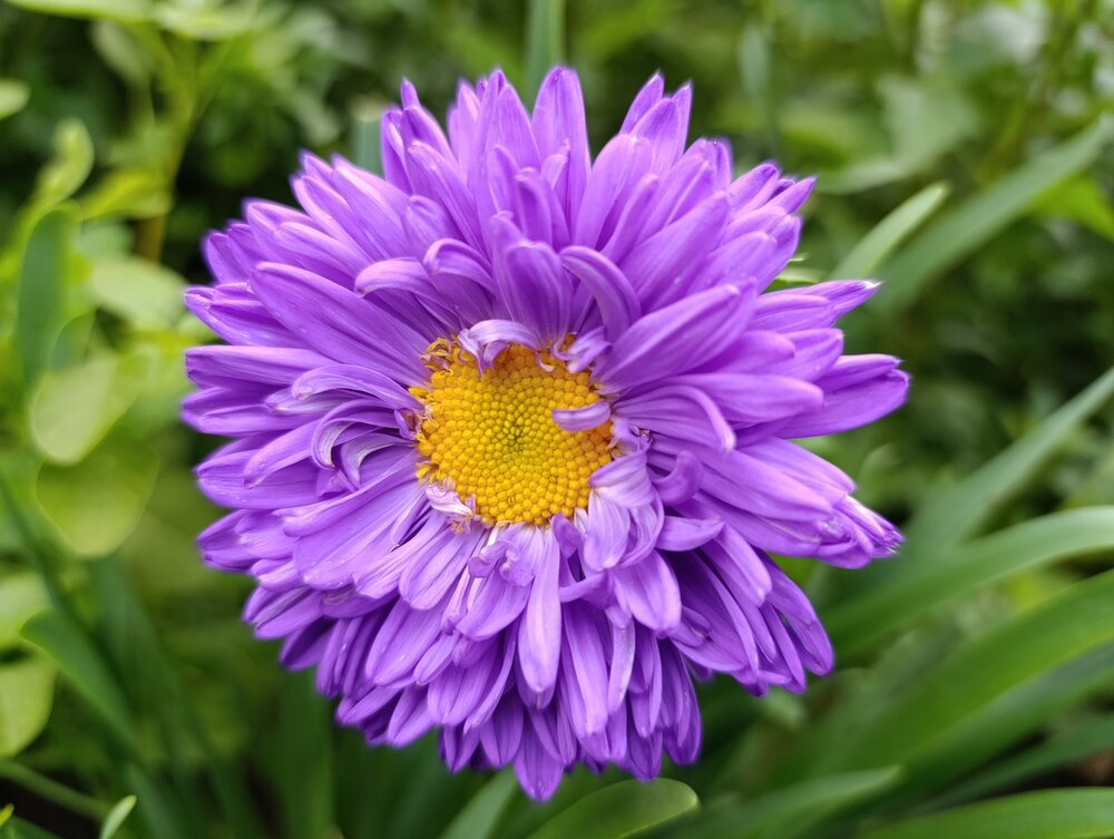 Photograph by Юрий Гордеев