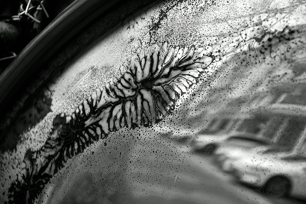 Photograph by Никита Невзоров