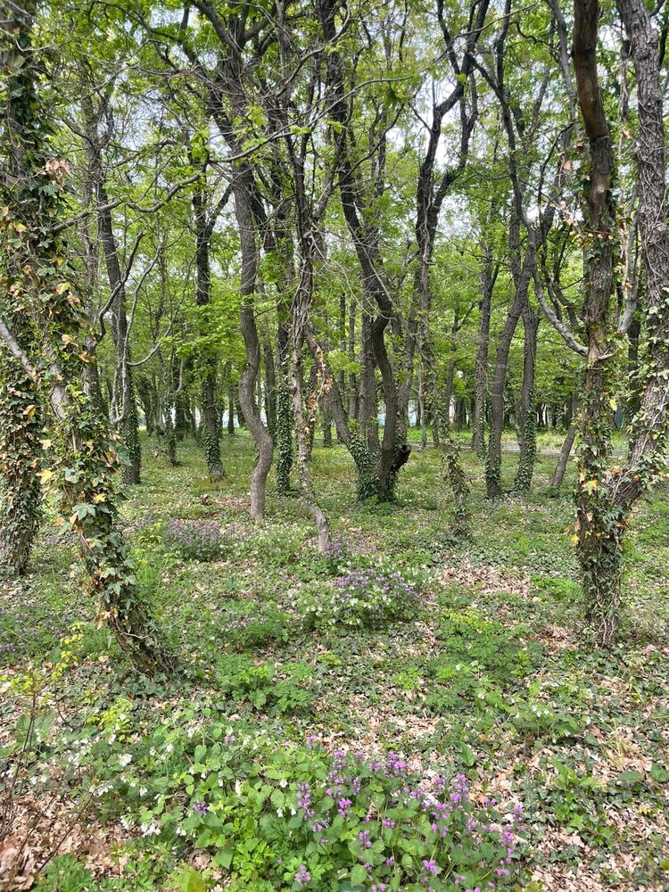 Photograph by Юлия Новичихина
