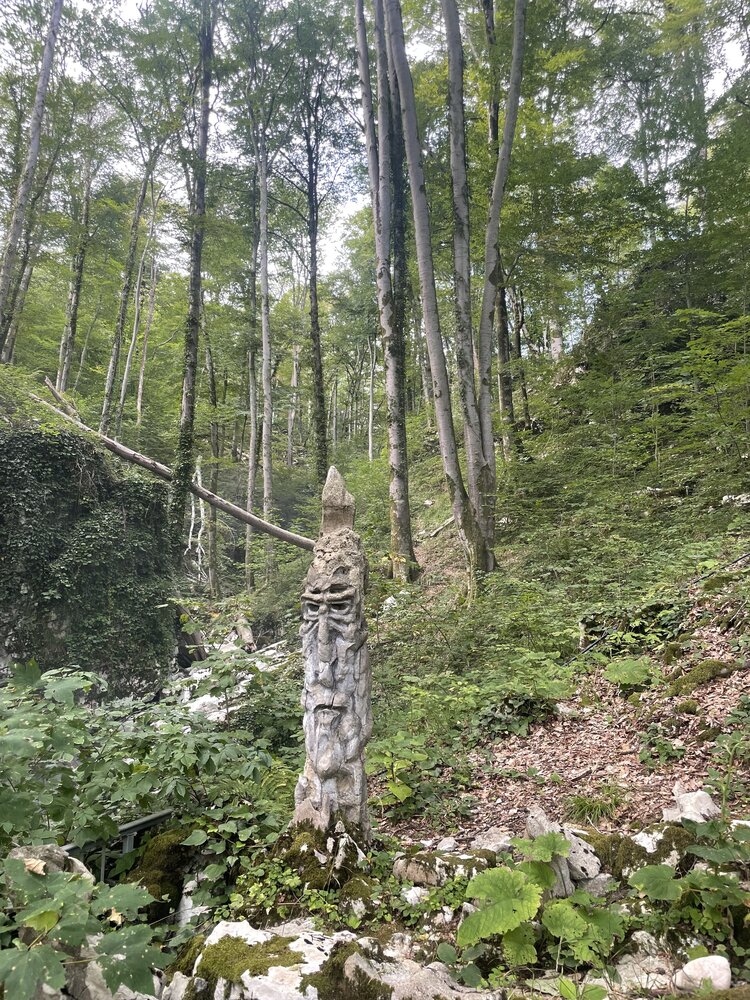Photograph by Юлия Новичихина