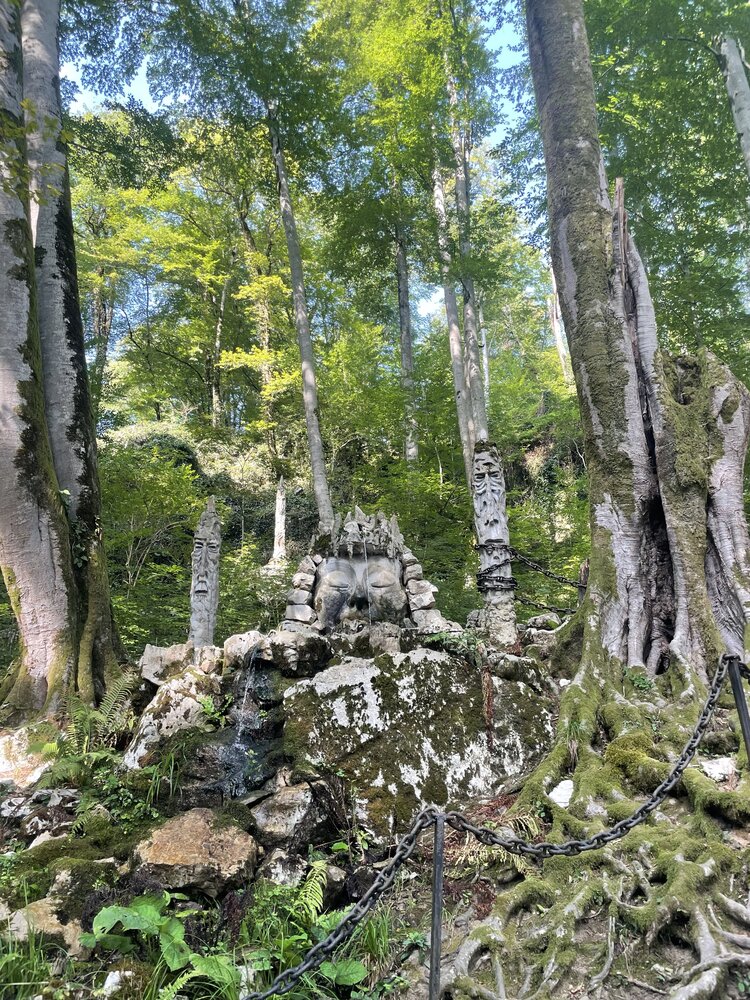 Photograph by Юлия Новичихина