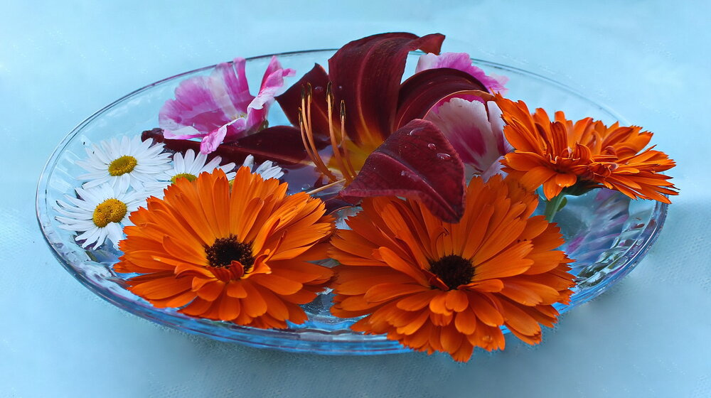 Photograph by Алла Бойко