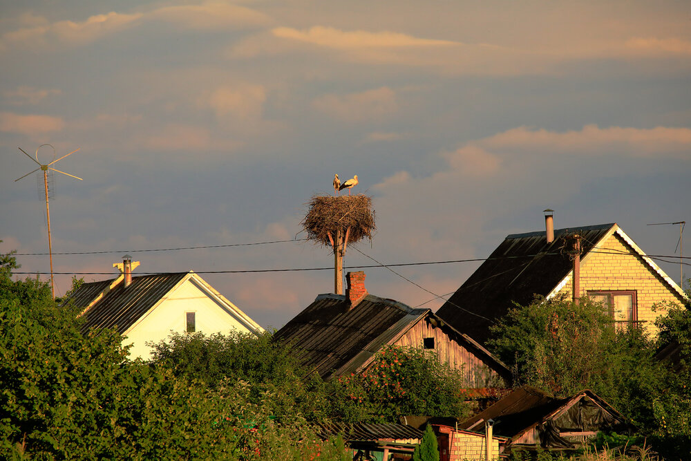 Photograph by Николай Протасеня