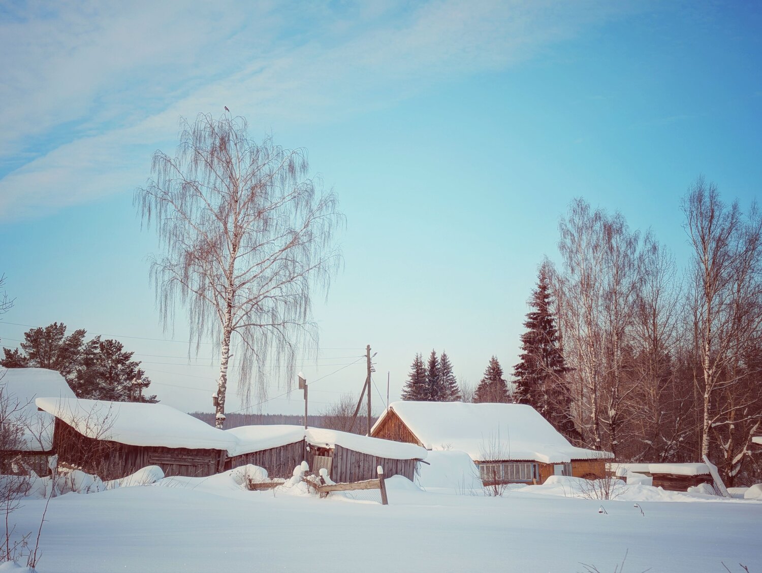 Photo #13884824