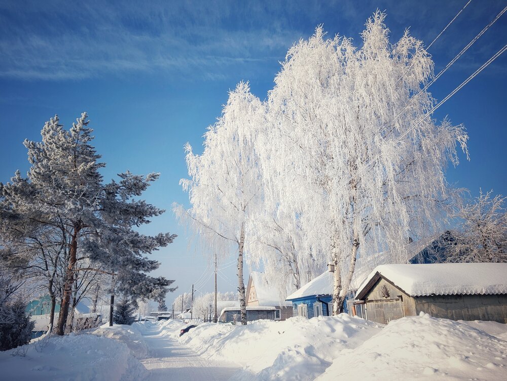 Photo #13884828