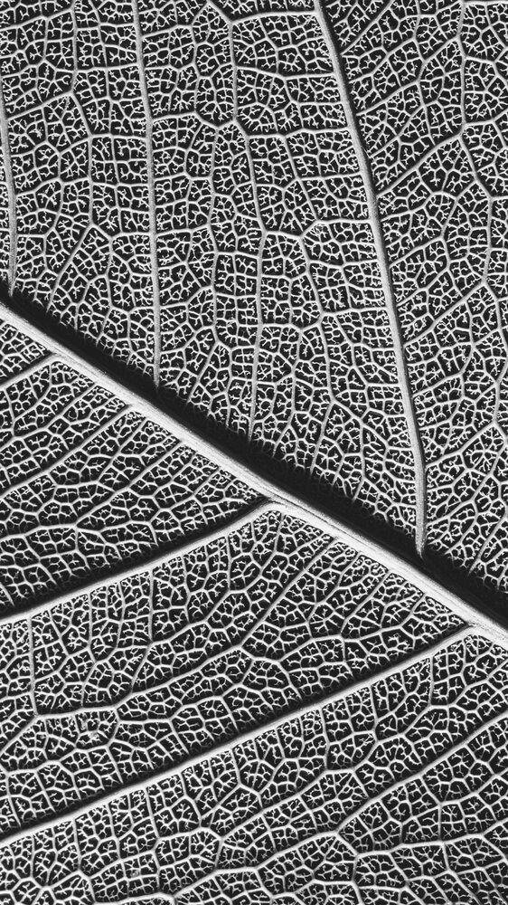 Photograph by Sourav Gorai