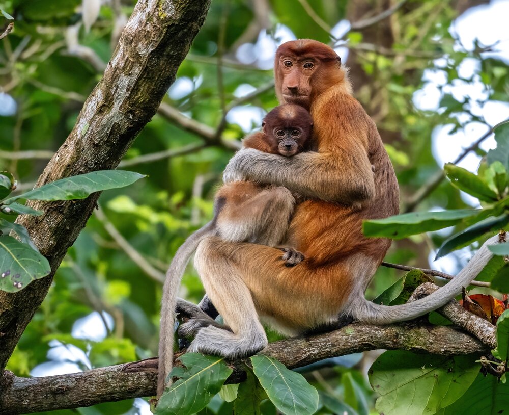 Photograph by NUR AZIMAH THERESA ABDULLAH