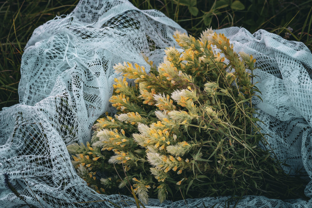 Photograph by Наталья Мыкольникова