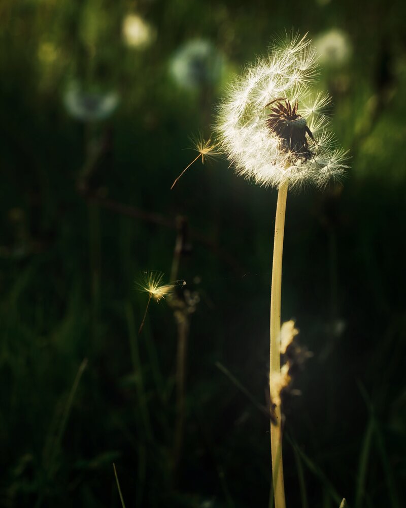 Photograph by Юлия Чернышёва