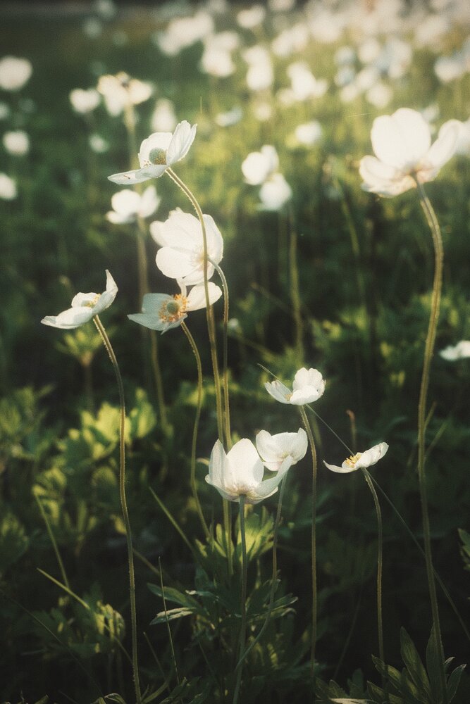 Photograph by Юлия Чернышёва