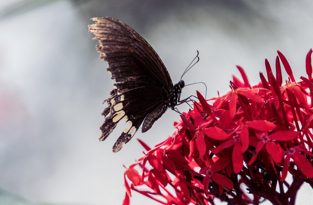 Photograph by yashas nanda