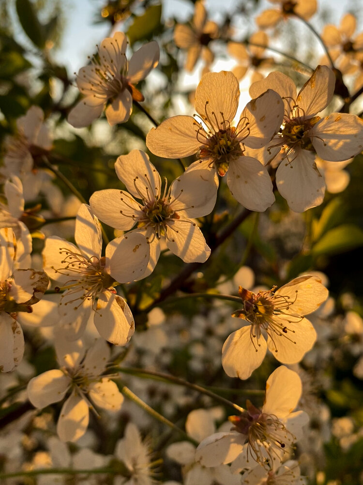Photograph by Наталья Мыкольникова