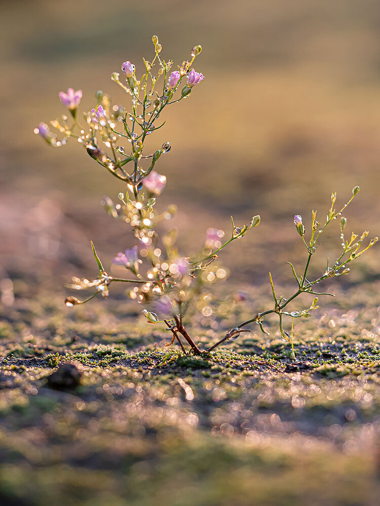 Photograph by Василий Губский