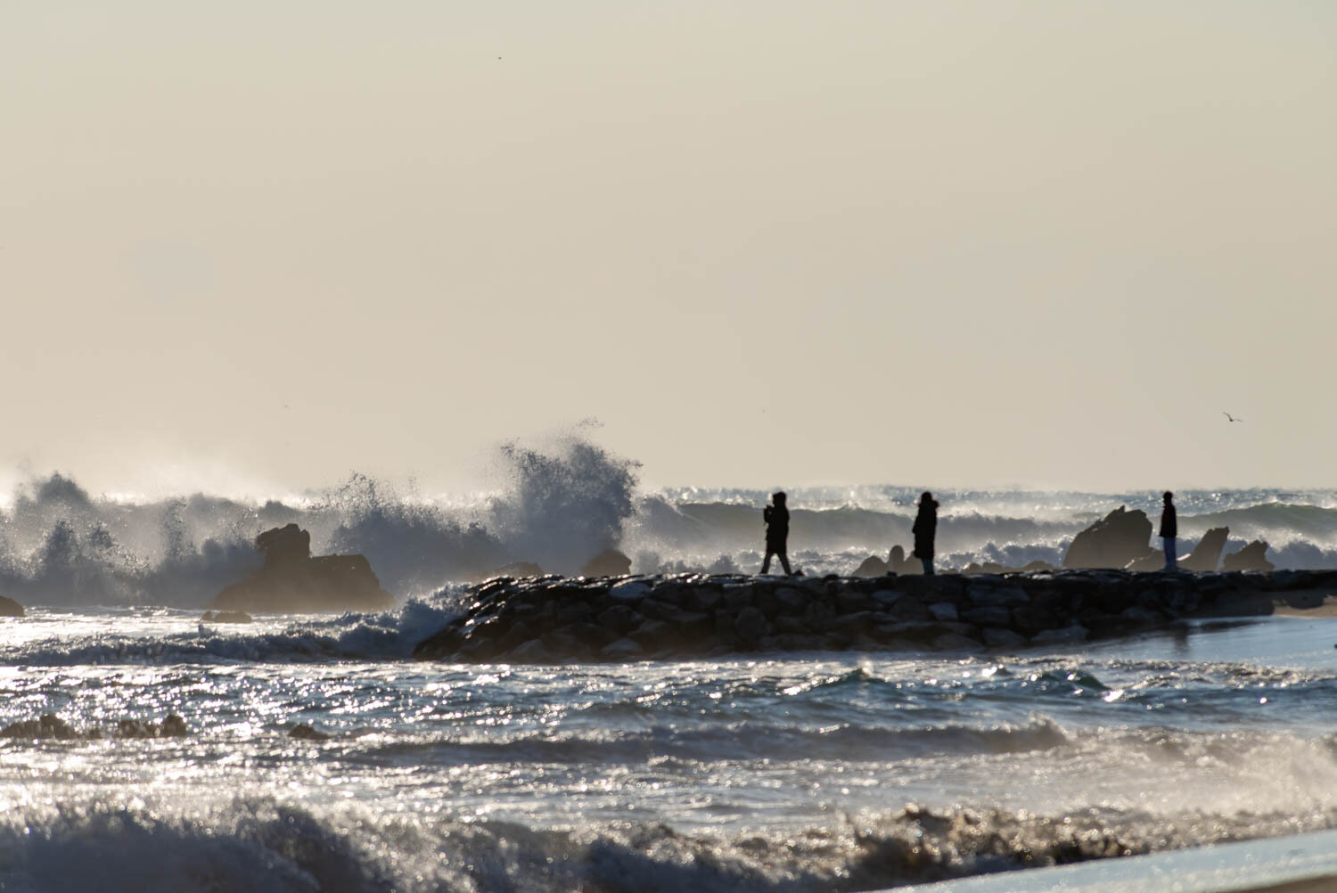 Photo #13884925