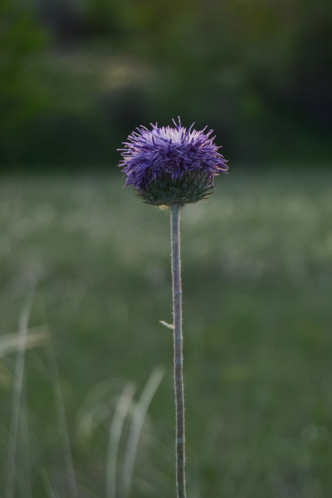 Photograph by Наталья Мыкольникова