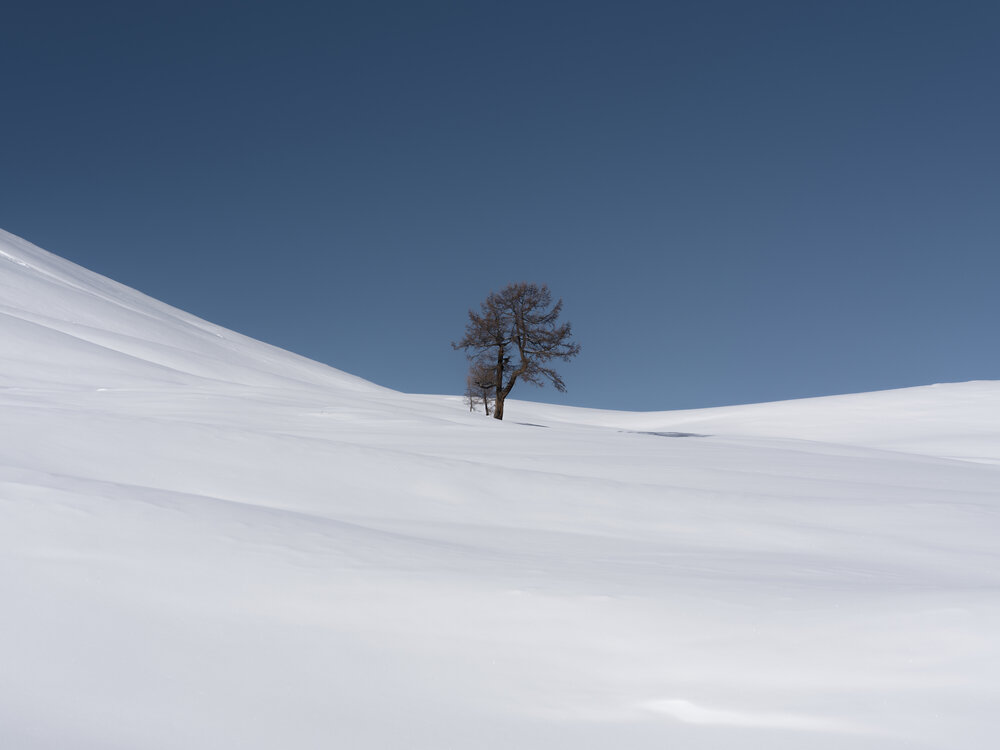Photo #13884949