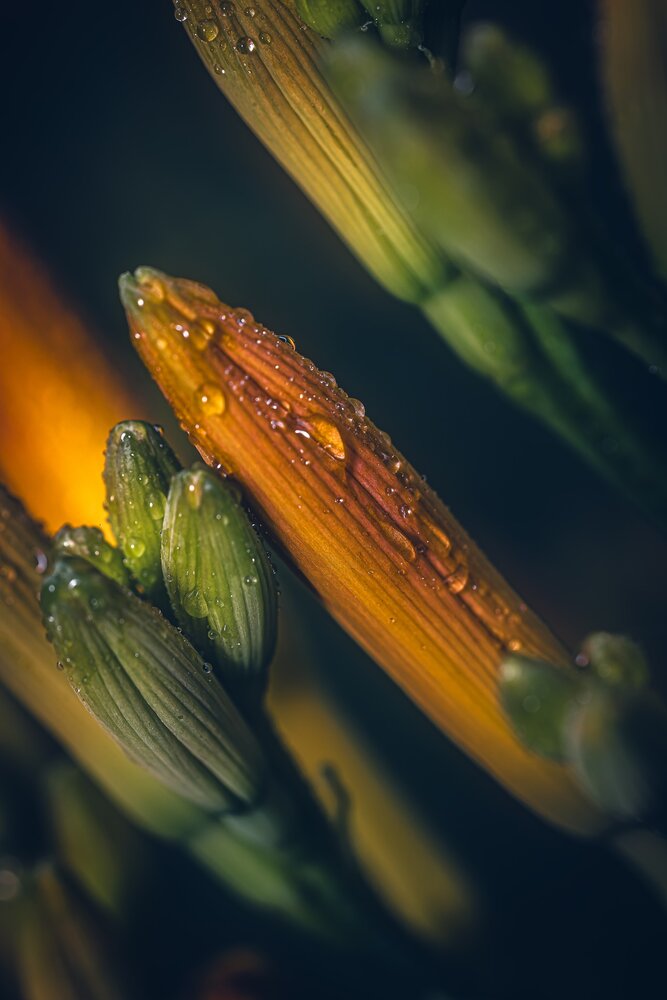 Photograph by Нериюс Стартас